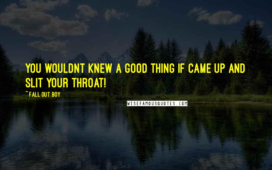 Fall Out Boy Quotes: You wouldnt knew a good thing if came up and slit your throat!