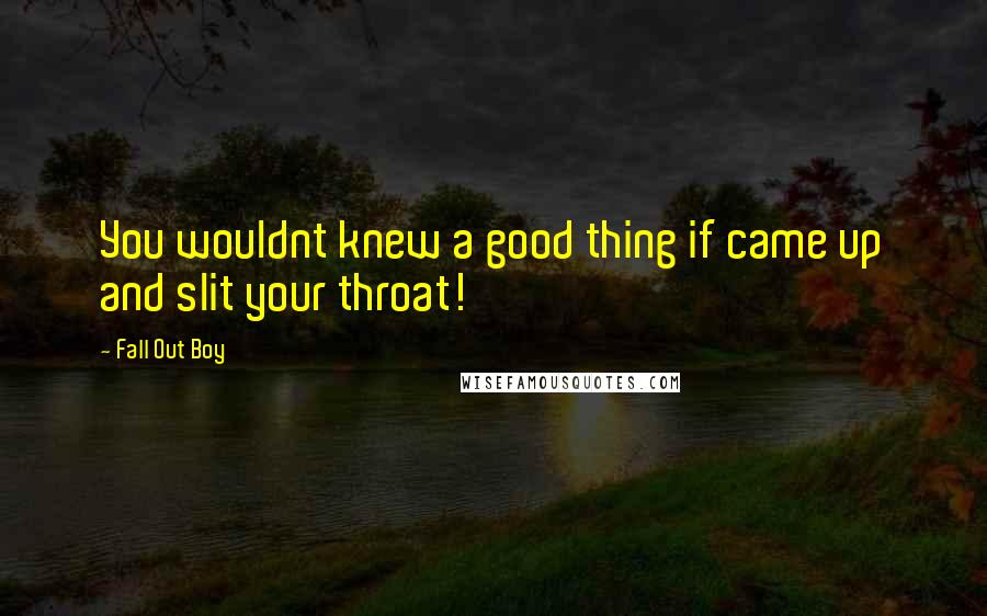 Fall Out Boy Quotes: You wouldnt knew a good thing if came up and slit your throat!