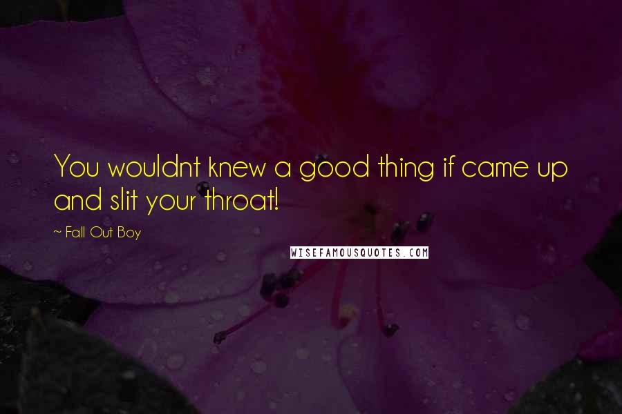 Fall Out Boy Quotes: You wouldnt knew a good thing if came up and slit your throat!