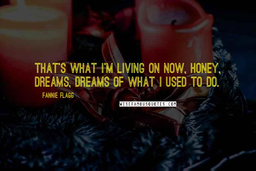 Fannie Flagg Quotes: That's what I'm living on now, honey, dreams, dreams of what I used to do.