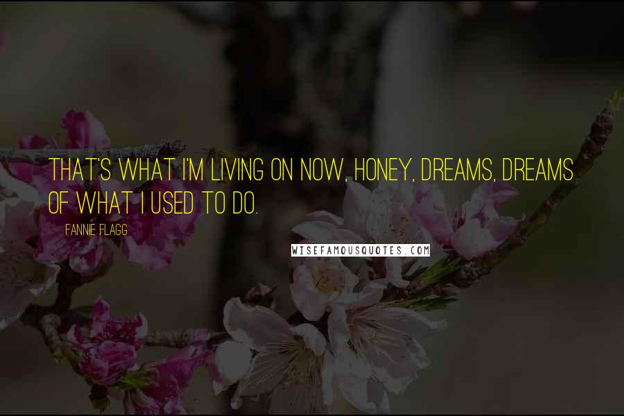 Fannie Flagg Quotes: That's what I'm living on now, honey, dreams, dreams of what I used to do.