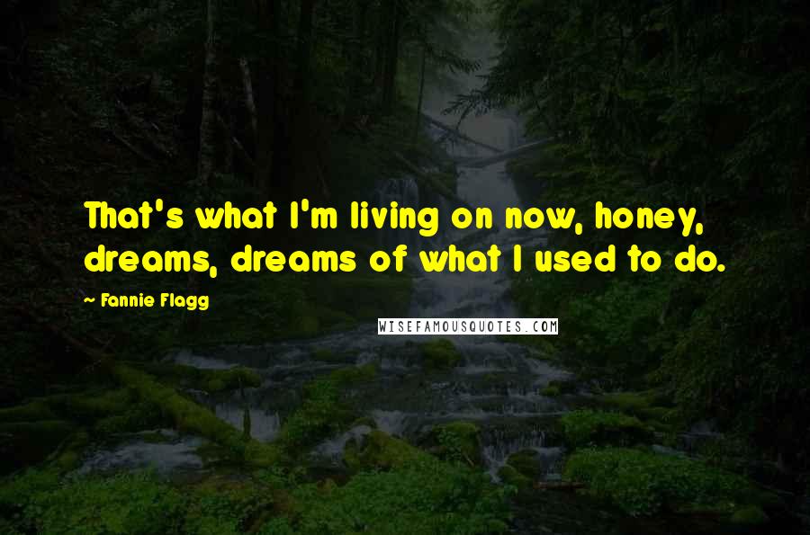 Fannie Flagg Quotes: That's what I'm living on now, honey, dreams, dreams of what I used to do.