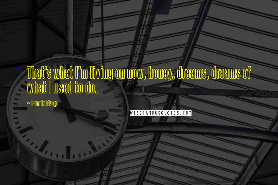 Fannie Flagg Quotes: That's what I'm living on now, honey, dreams, dreams of what I used to do.