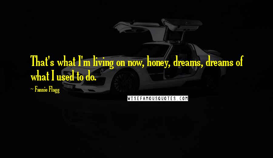 Fannie Flagg Quotes: That's what I'm living on now, honey, dreams, dreams of what I used to do.