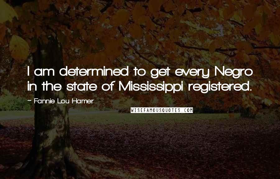 Fannie Lou Hamer Quotes: I am determined to get every Negro in the state of Mississippi registered.