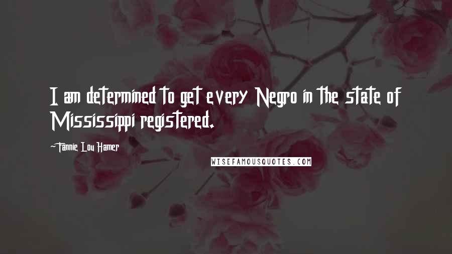 Fannie Lou Hamer Quotes: I am determined to get every Negro in the state of Mississippi registered.