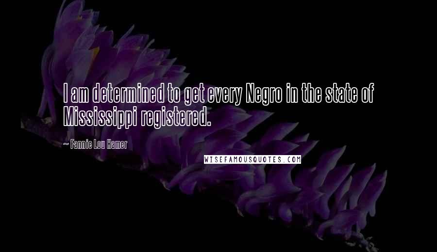 Fannie Lou Hamer Quotes: I am determined to get every Negro in the state of Mississippi registered.