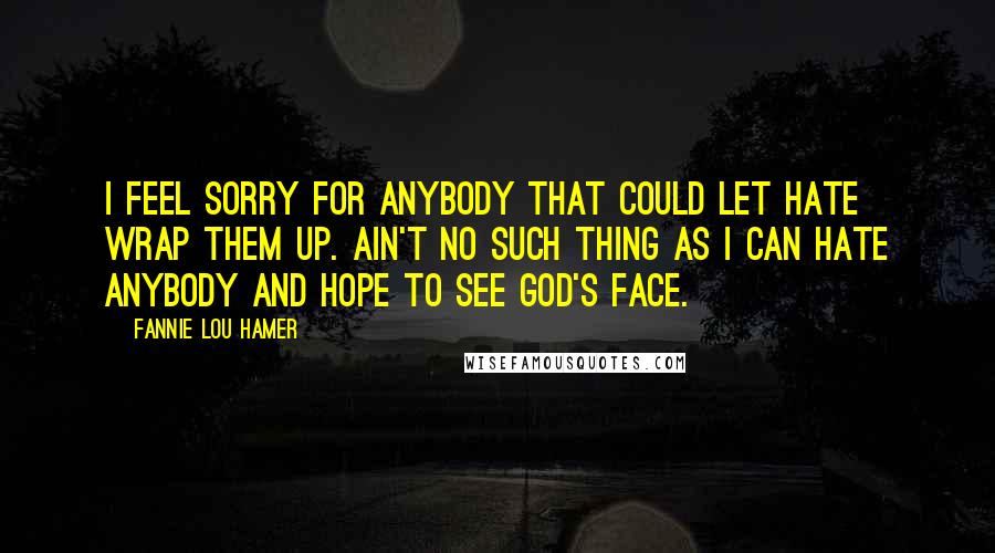 Fannie Lou Hamer Quotes: I feel sorry for anybody that could let hate wrap them up. Ain't no such thing as I can hate anybody and hope to see God's face.