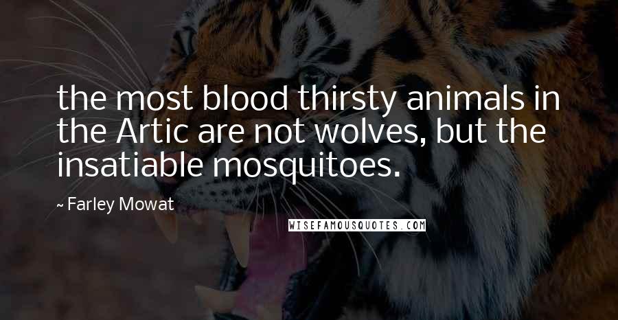 Farley Mowat Quotes: the most blood thirsty animals in the Artic are not wolves, but the insatiable mosquitoes.