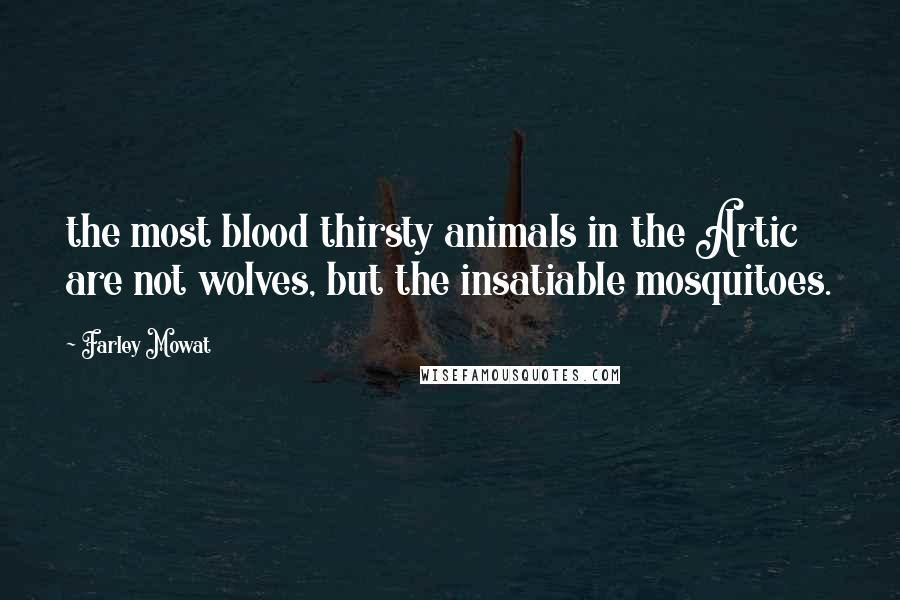 Farley Mowat Quotes: the most blood thirsty animals in the Artic are not wolves, but the insatiable mosquitoes.
