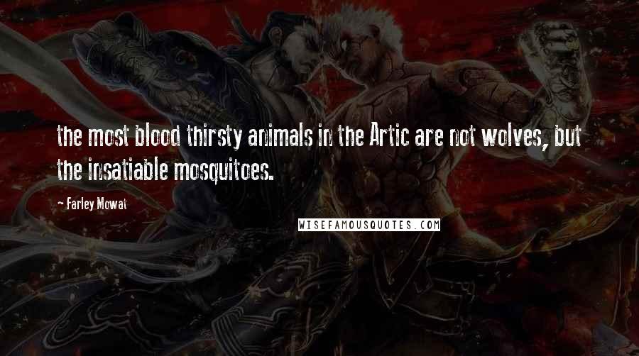 Farley Mowat Quotes: the most blood thirsty animals in the Artic are not wolves, but the insatiable mosquitoes.