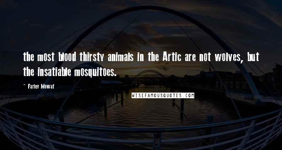 Farley Mowat Quotes: the most blood thirsty animals in the Artic are not wolves, but the insatiable mosquitoes.
