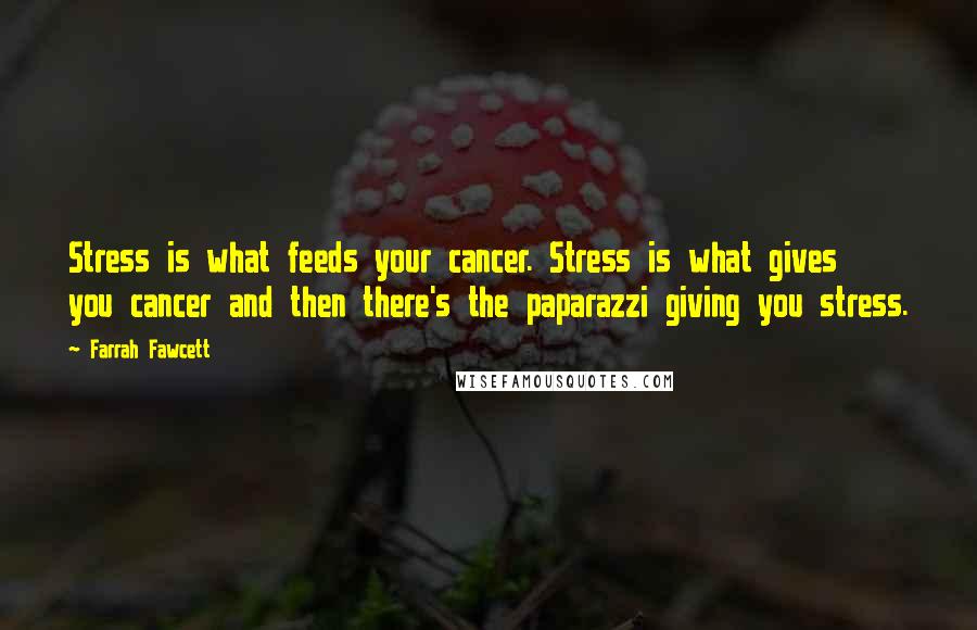 Farrah Fawcett Quotes: Stress is what feeds your cancer. Stress is what gives you cancer and then there's the paparazzi giving you stress.