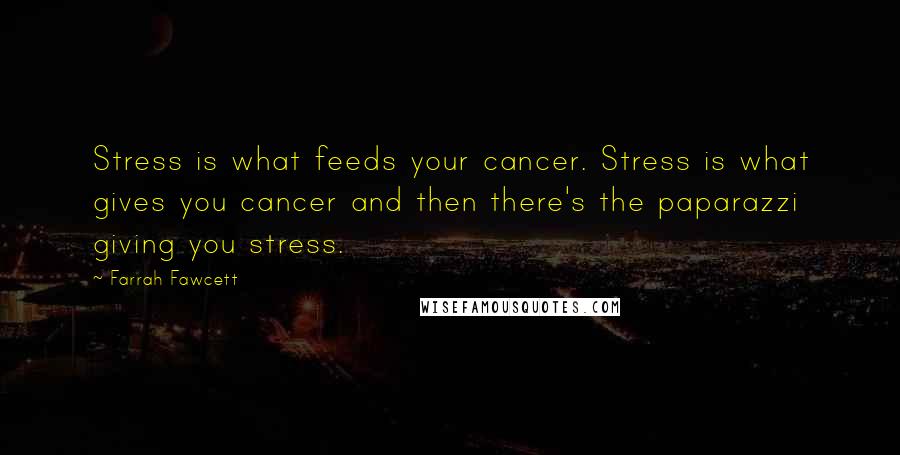 Farrah Fawcett Quotes: Stress is what feeds your cancer. Stress is what gives you cancer and then there's the paparazzi giving you stress.