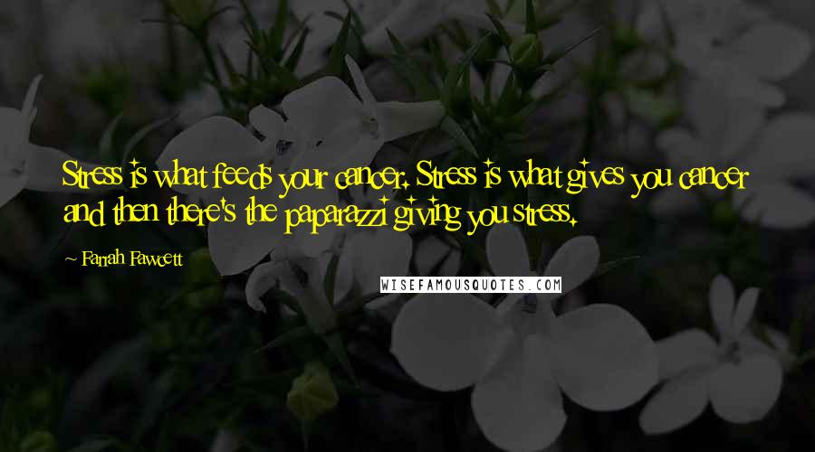 Farrah Fawcett Quotes: Stress is what feeds your cancer. Stress is what gives you cancer and then there's the paparazzi giving you stress.