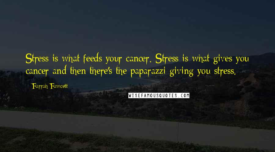 Farrah Fawcett Quotes: Stress is what feeds your cancer. Stress is what gives you cancer and then there's the paparazzi giving you stress.