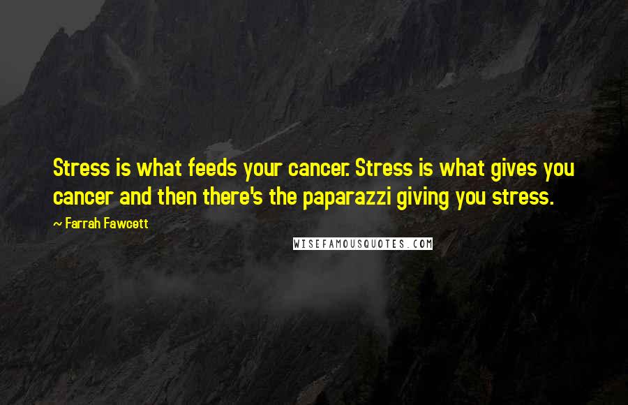 Farrah Fawcett Quotes: Stress is what feeds your cancer. Stress is what gives you cancer and then there's the paparazzi giving you stress.