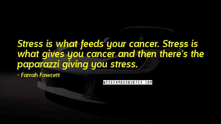 Farrah Fawcett Quotes: Stress is what feeds your cancer. Stress is what gives you cancer and then there's the paparazzi giving you stress.