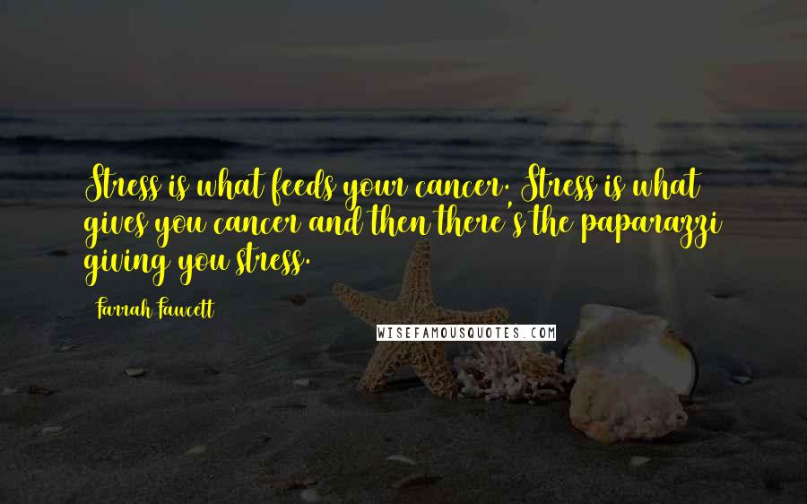 Farrah Fawcett Quotes: Stress is what feeds your cancer. Stress is what gives you cancer and then there's the paparazzi giving you stress.