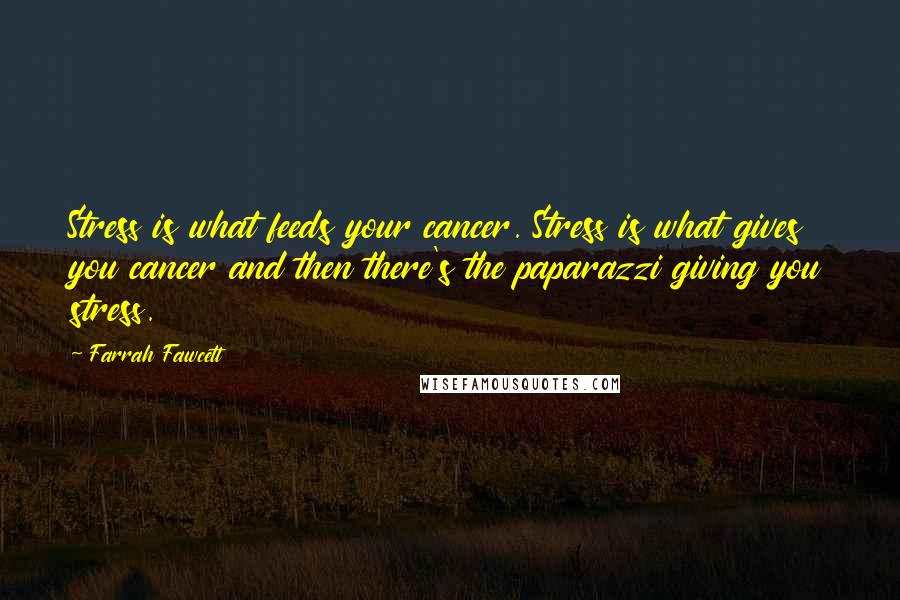 Farrah Fawcett Quotes: Stress is what feeds your cancer. Stress is what gives you cancer and then there's the paparazzi giving you stress.