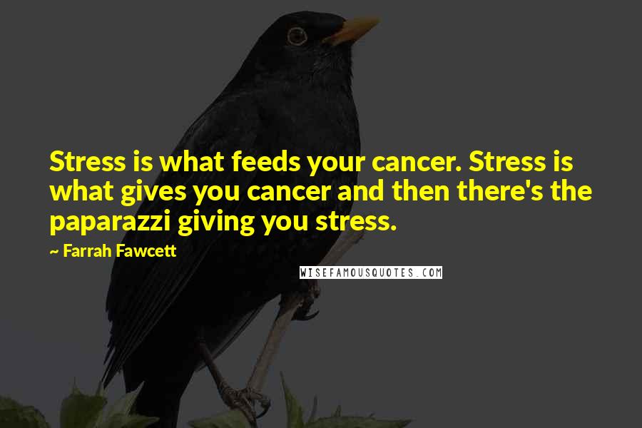Farrah Fawcett Quotes: Stress is what feeds your cancer. Stress is what gives you cancer and then there's the paparazzi giving you stress.