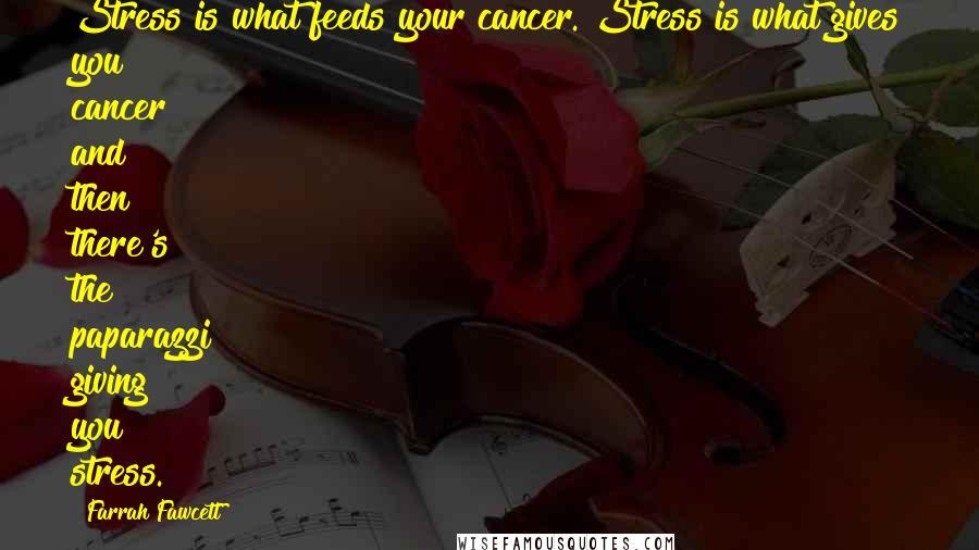 Farrah Fawcett Quotes: Stress is what feeds your cancer. Stress is what gives you cancer and then there's the paparazzi giving you stress.