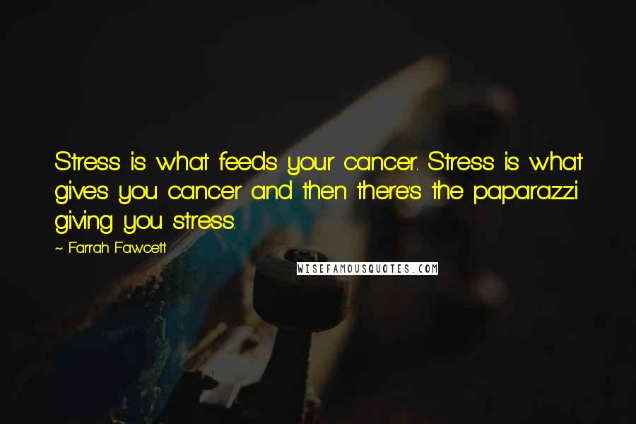 Farrah Fawcett Quotes: Stress is what feeds your cancer. Stress is what gives you cancer and then there's the paparazzi giving you stress.