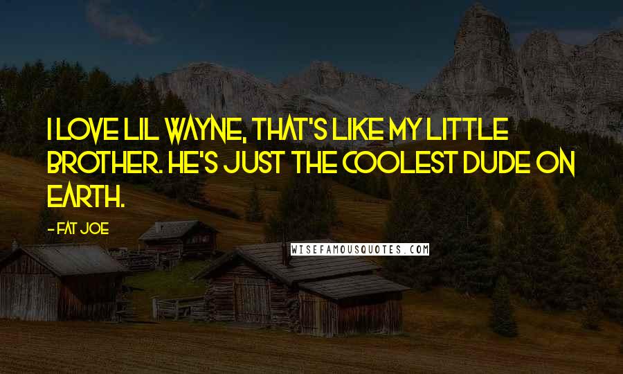 Fat Joe Quotes: I love Lil Wayne, that's like my little brother. He's just the coolest dude on Earth.