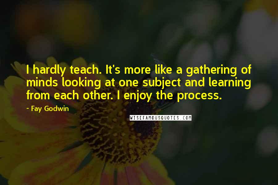 Fay Godwin Quotes: I hardly teach. It's more like a gathering of minds looking at one subject and learning from each other. I enjoy the process.