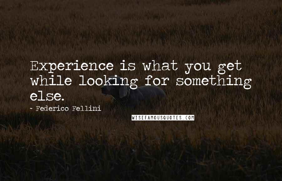 Federico Fellini Quotes: Experience is what you get while looking for something else.