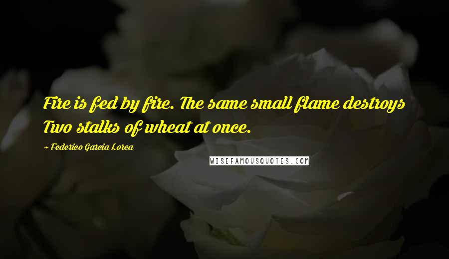 Federico Garcia Lorca Quotes: Fire is fed by fire. The same small flame destroys Two stalks of wheat at once.