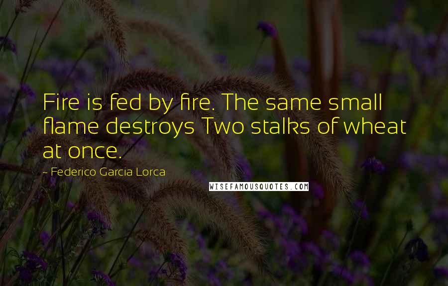 Federico Garcia Lorca Quotes: Fire is fed by fire. The same small flame destroys Two stalks of wheat at once.