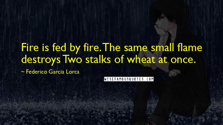 Federico Garcia Lorca Quotes: Fire is fed by fire. The same small flame destroys Two stalks of wheat at once.