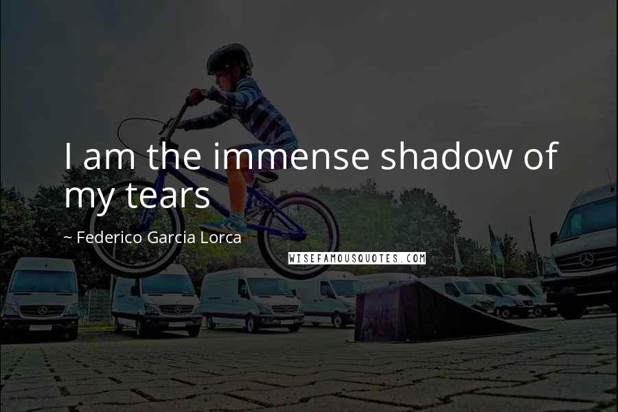 Federico Garcia Lorca Quotes: I am the immense shadow of my tears