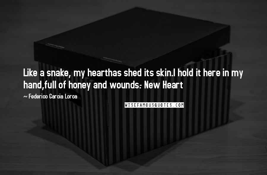 Federico Garcia Lorca Quotes: Like a snake, my hearthas shed its skin.I hold it here in my hand,full of honey and wounds.- New Heart