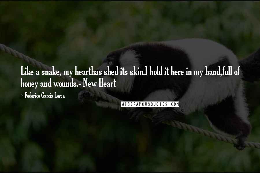 Federico Garcia Lorca Quotes: Like a snake, my hearthas shed its skin.I hold it here in my hand,full of honey and wounds.- New Heart