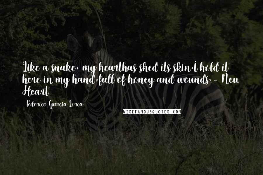 Federico Garcia Lorca Quotes: Like a snake, my hearthas shed its skin.I hold it here in my hand,full of honey and wounds.- New Heart