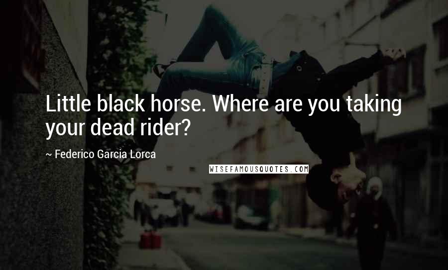 Federico Garcia Lorca Quotes: Little black horse. Where are you taking your dead rider?