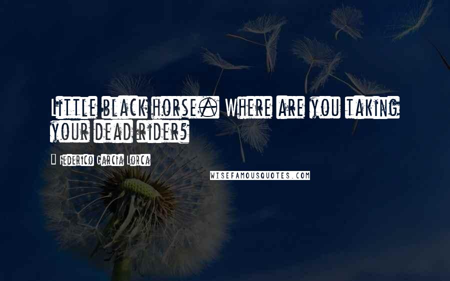 Federico Garcia Lorca Quotes: Little black horse. Where are you taking your dead rider?