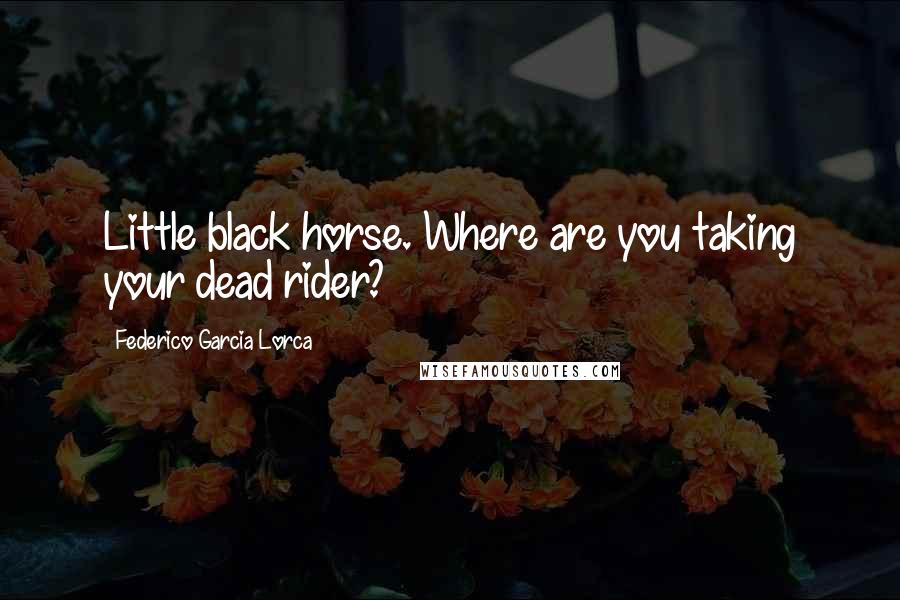 Federico Garcia Lorca Quotes: Little black horse. Where are you taking your dead rider?