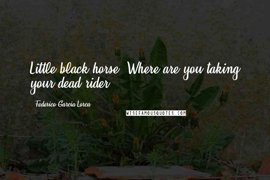 Federico Garcia Lorca Quotes: Little black horse. Where are you taking your dead rider?