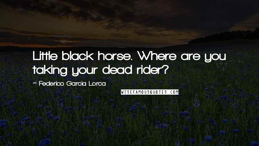 Federico Garcia Lorca Quotes: Little black horse. Where are you taking your dead rider?