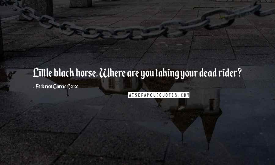 Federico Garcia Lorca Quotes: Little black horse. Where are you taking your dead rider?