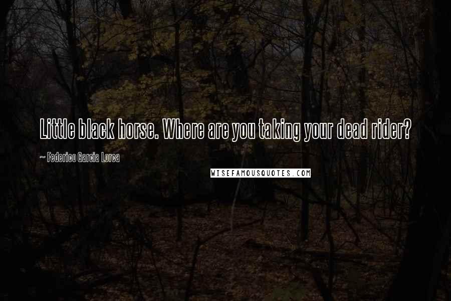 Federico Garcia Lorca Quotes: Little black horse. Where are you taking your dead rider?