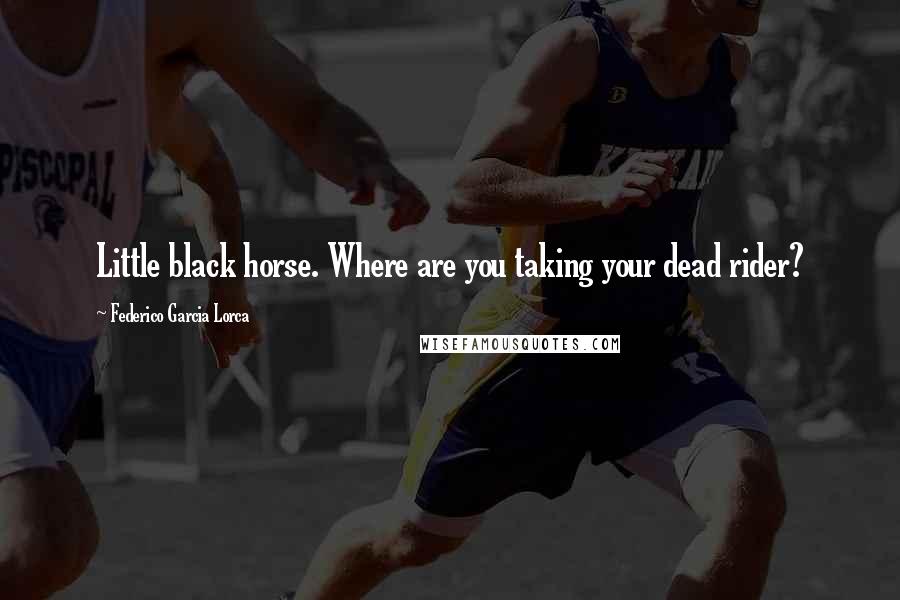 Federico Garcia Lorca Quotes: Little black horse. Where are you taking your dead rider?