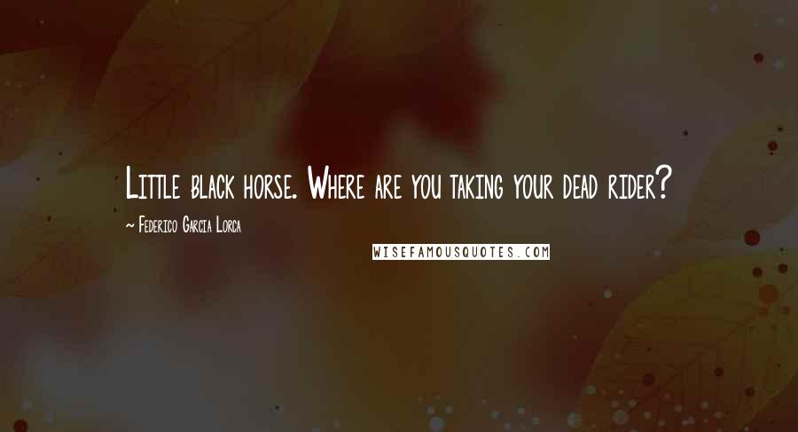 Federico Garcia Lorca Quotes: Little black horse. Where are you taking your dead rider?