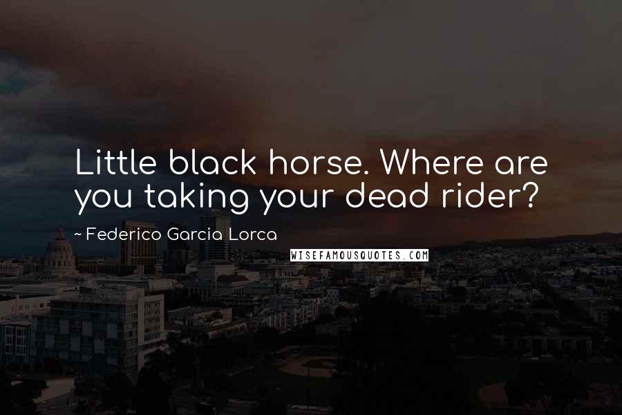 Federico Garcia Lorca Quotes: Little black horse. Where are you taking your dead rider?