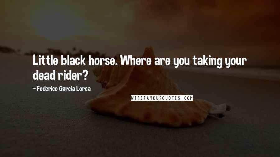 Federico Garcia Lorca Quotes: Little black horse. Where are you taking your dead rider?