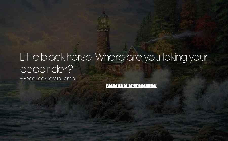 Federico Garcia Lorca Quotes: Little black horse. Where are you taking your dead rider?