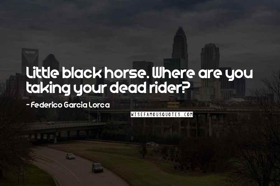 Federico Garcia Lorca Quotes: Little black horse. Where are you taking your dead rider?